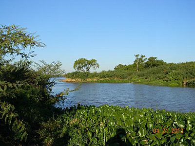 Archivo:El río Paraná, a su paso por el paraje natural "El Tonelero" en el partido de Ramallo, provincia de Buenos Aires, Argentina