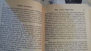 Archivo:Escritura de Horacio Carochi