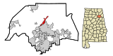 Etowah County Alabama Incorporated and Unincorporated areas Reece City Highlighted.svg
