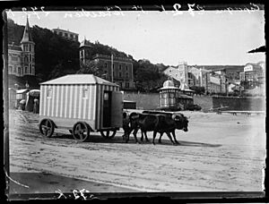 Archivo:Foto de Donostia - San Sebastian hacia 1908 2