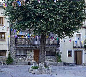 Archivo:Fuente del Olmo de Huertapelayo
