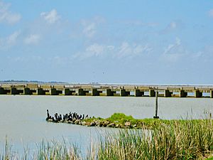 Archivo:Goolwa Barrage