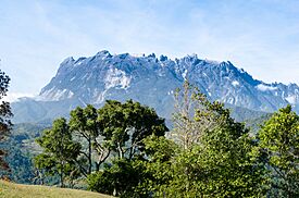 Gunung Kinabalu Sabah.jpg