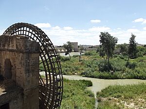Archivo:La Albolafia Mill - Cordoba - Sotos de la Albolafia (14583142068)
