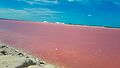 Las Coloradas Yucatán