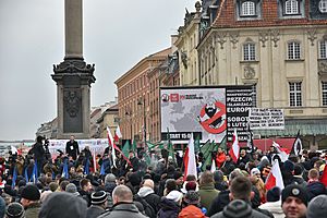 Archivo:Manifestacja przeciw islamizaji Europy Ruch Narodowy Młodzież Wszechpolska plac Zamkowy 2016