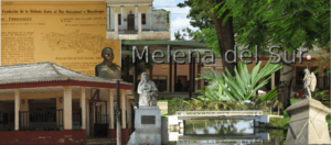 Archivo:MelenadelSur