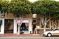 Melrose4