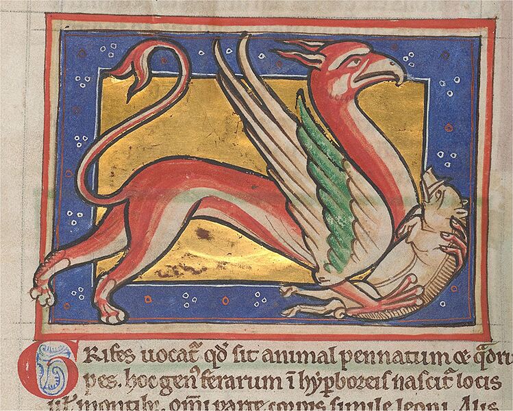 Morgan M.81, f.036v-grifes