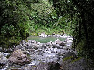 Archivo:New-zealand-tararuas-clem-creek-waiohine-river