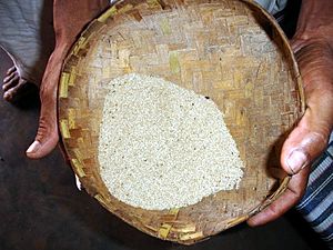 Archivo:Niyamgiri rice
