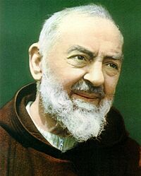 Archivo:Padre Pio portrait