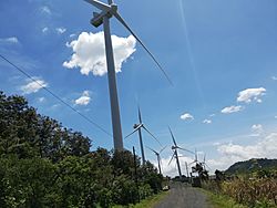 Parque eólico Viento Blanco, San Vicente Pacaya.jpg