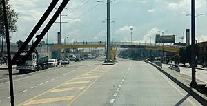 Archivo:Puente peatonal TransMilenio La Despensa