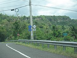 Puerto Rico Highway 4111 sign.jpg