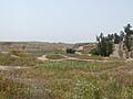 Royal City and Acropolis Tepes