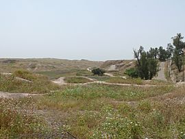 Royal City and Acropolis Tepes.jpg