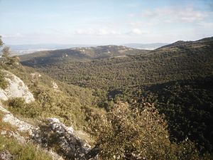 Sierra arrato desde Azkorrieta.jpeg