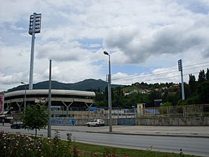 Archivo:Stadium Grbavica