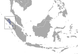 En azul, la distribución del género Pongo en la isla de Sumatra, siendo la mancha inferior la correspondiente a Pongo tapanuliensis y las restantes a Pongo abelii.