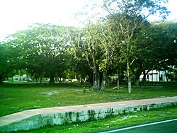 Suytunchén (Mérida), Yucatán (03).jpg