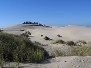 Archivo:USA Oregon Dunes