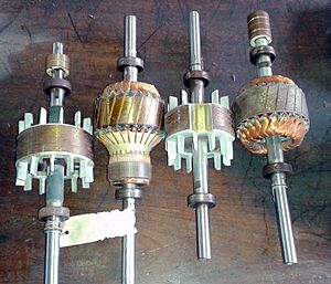 Archivo:Various motor rotor TICI