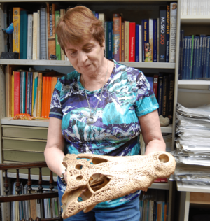 Archivo:Zulma Brandoni de Gasparini en su laboratorio del Museo de La Plata