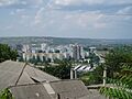 Вид Рыбницы
