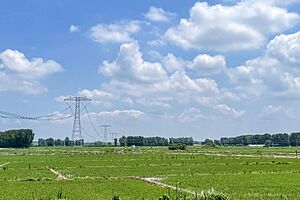 Archivo:20210715 Rice farms in Yuanyang County, Henan