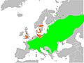 Asarum range