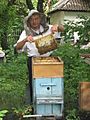 Beekeeper (26742074186)