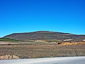 Archivo:Bernorio