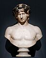 Bust Antinous Hermitage GR-4220 n1
