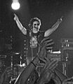 Calamaro