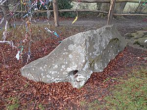 Archivo:Coldrum Long Barrow 35