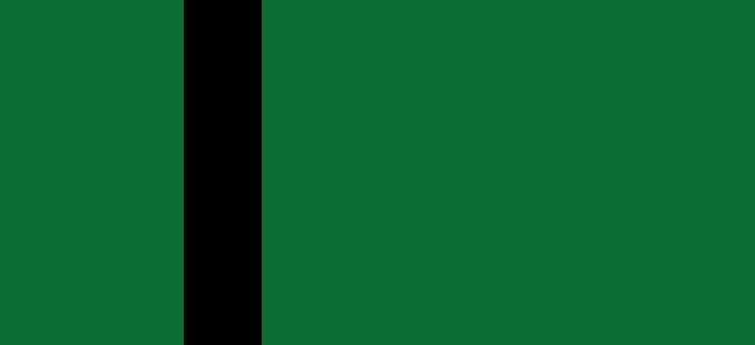 Delhi Sultanate Flag