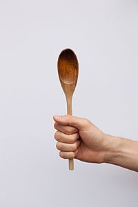 Archivo:Discoloured wooden spoon
