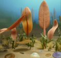Ediacaran sea