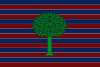 Flag of Floresta (Boyacá).svg