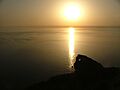 Foradada sunset marroig 1