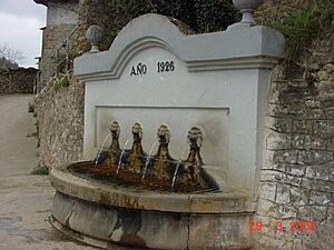 Archivo:FuenteRasal