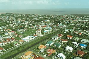 Archivo:Georgetown from the air (23627263236)