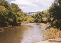 Archivo:Gila River near town of Riverside1