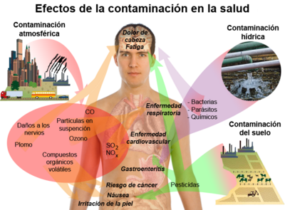 Archivo:Health effects of pollution-es