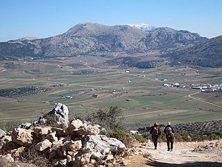IMG 1824. Nava de Alfarnate la Torca y Maroma al fondo.jpg
