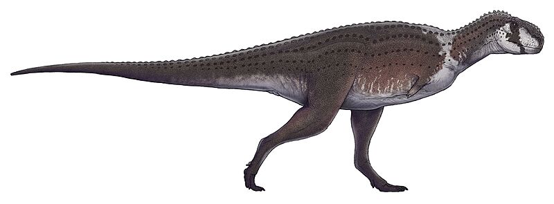 Kryptops life restoration