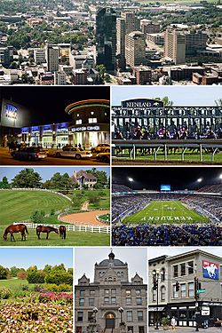 Lexington montage.jpg