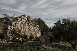 Muralla Ciclopea Cerro Miguelico.jpg