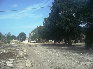 Archivo:Nohuayún, Yucatán (03)